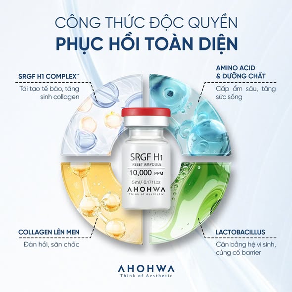 Tinh chất tăng trưởng tế bào gốc Ahohwa SRGF H1 Reset Ampoule 1.jpg