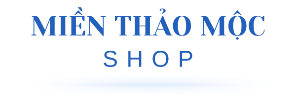 mienthaomoc.com