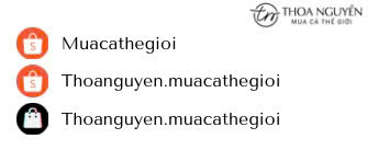 phải 2