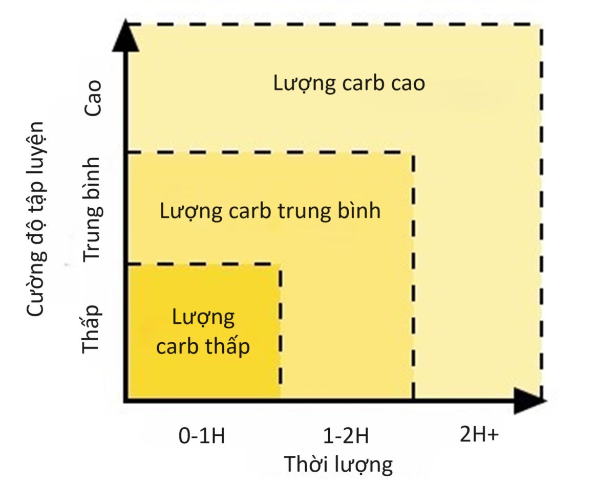 Biểu đồ chỉ dẫn nạp carb