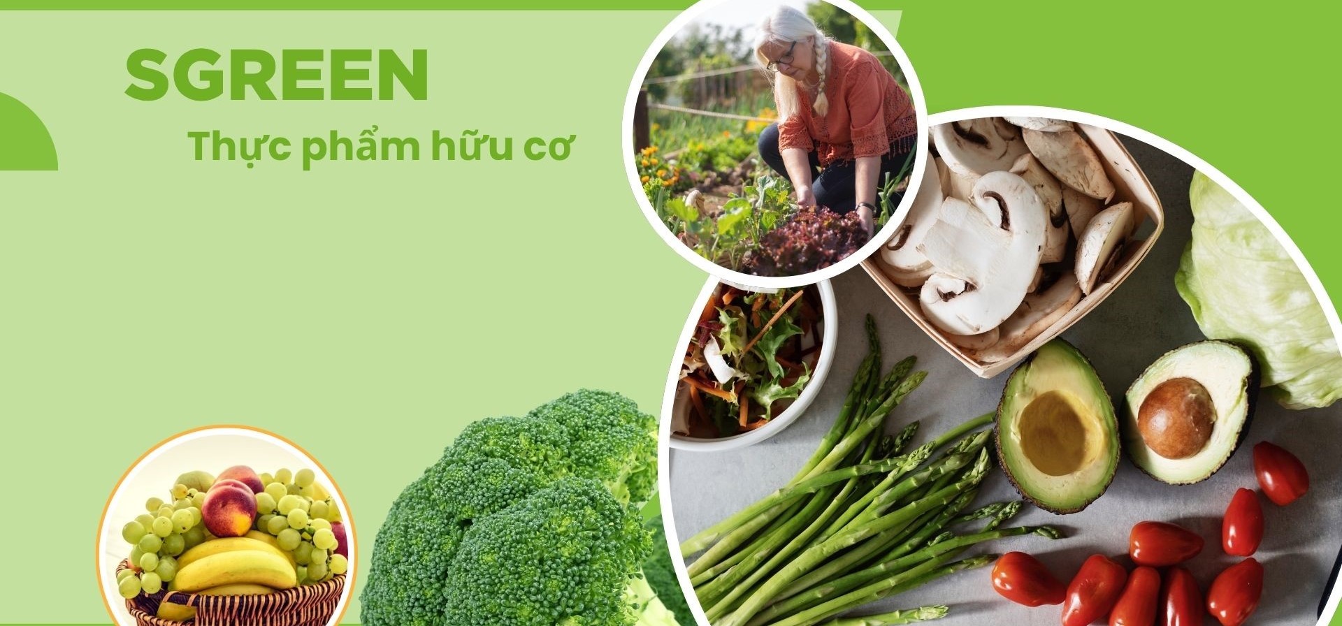banner trang chủ