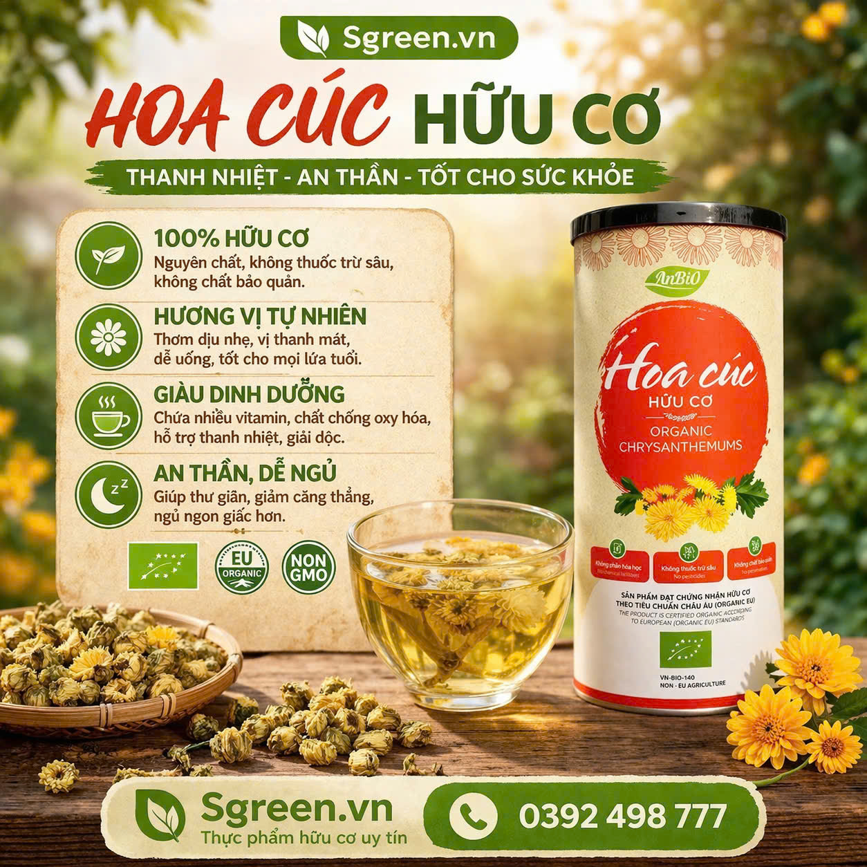 Trà hoa cúc hữu cơ