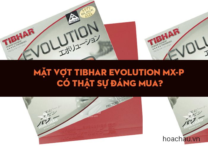 Mặt vợt Tibhar Evolution MX-P có thật sự đáng mua?