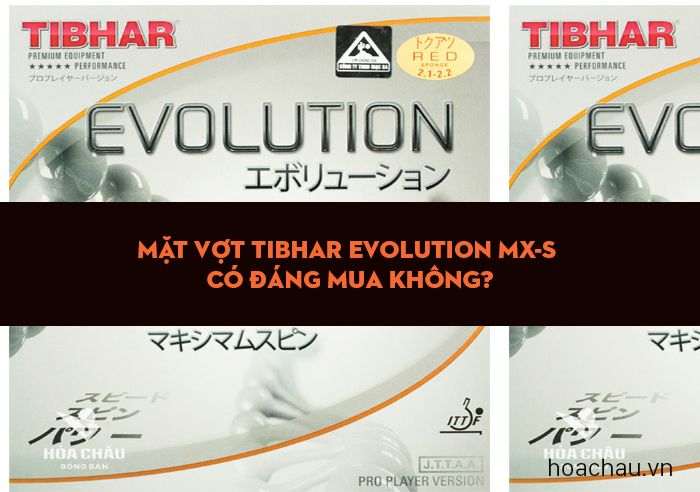 Mặt vợt Tibhar Evolution MX-S có đáng mua không?