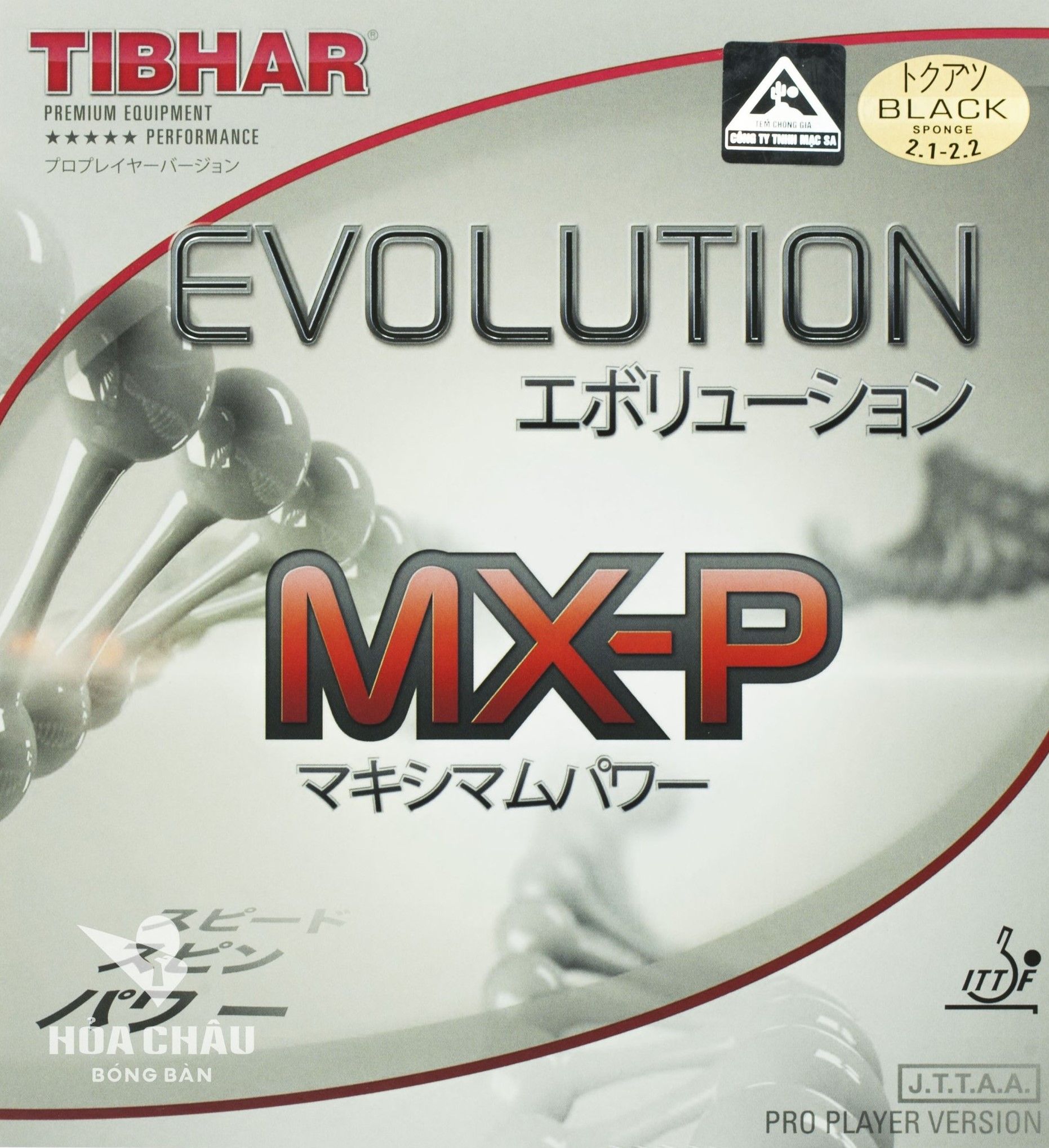 tibhar mxp