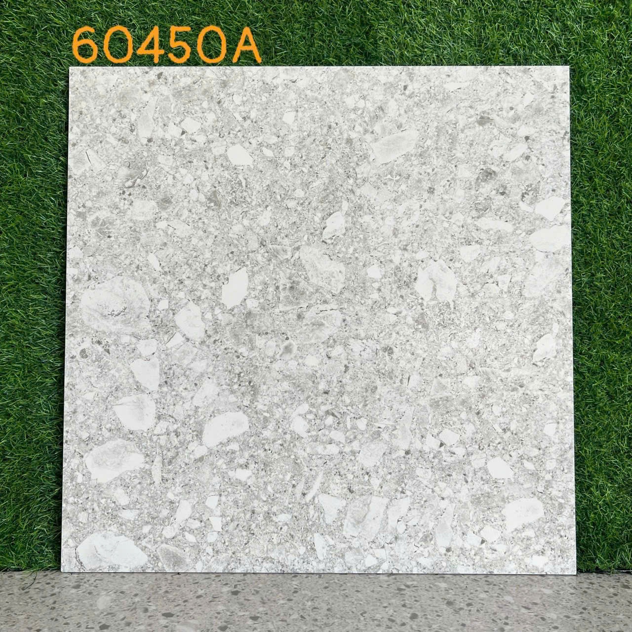 Gạch Terazzo 600x600 mm 60450A