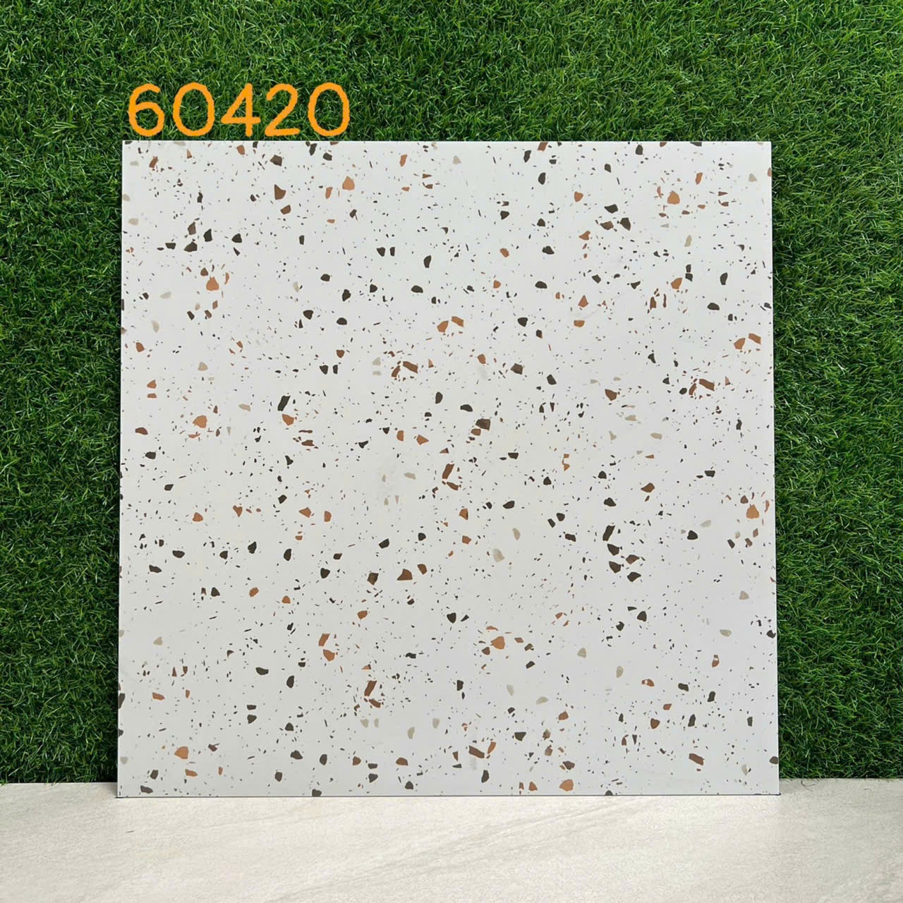 Gạch Terazzo 600x600 mm 60420