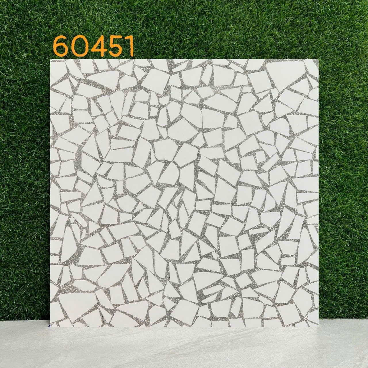 Gạch Terazzo 600x600 mm 60451