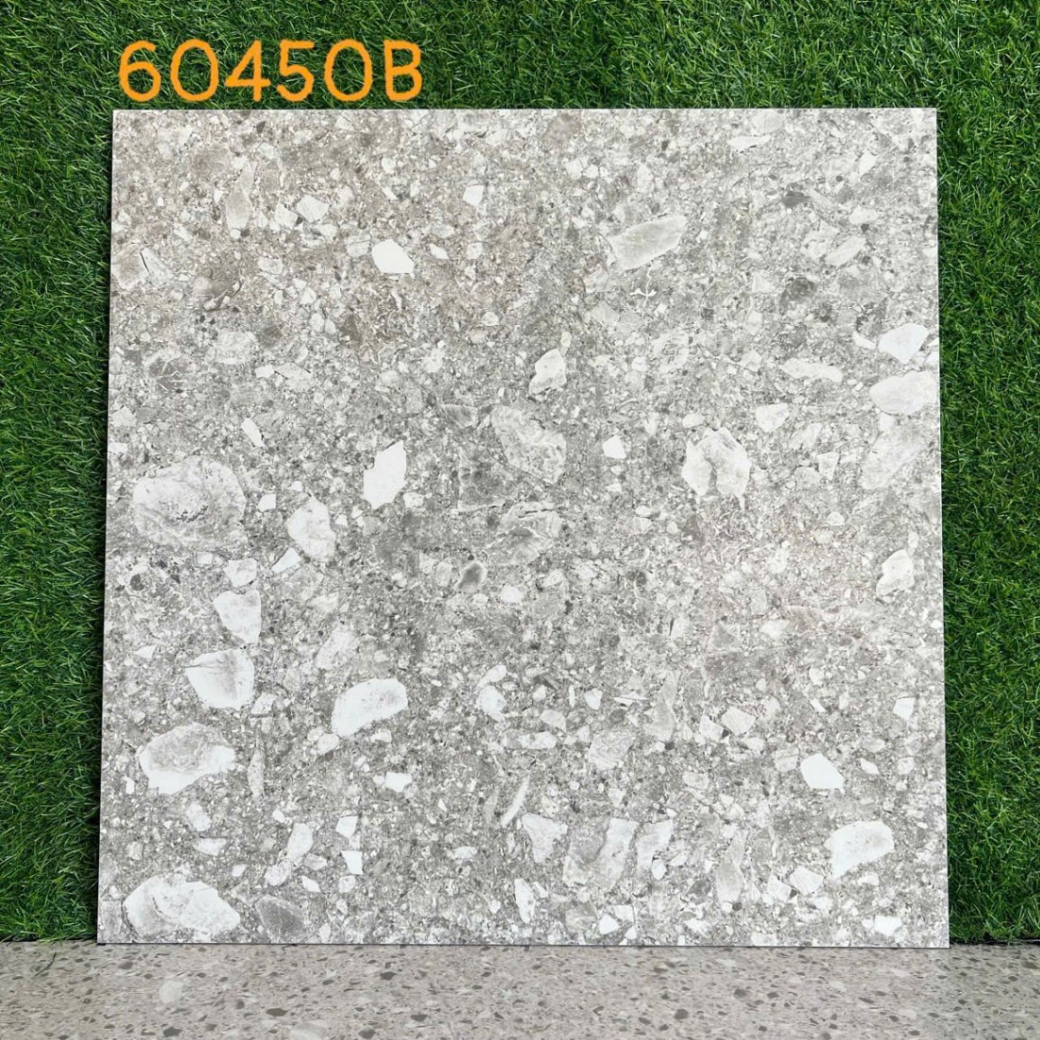 Gạch Terazzo 600x600 mm 60450B