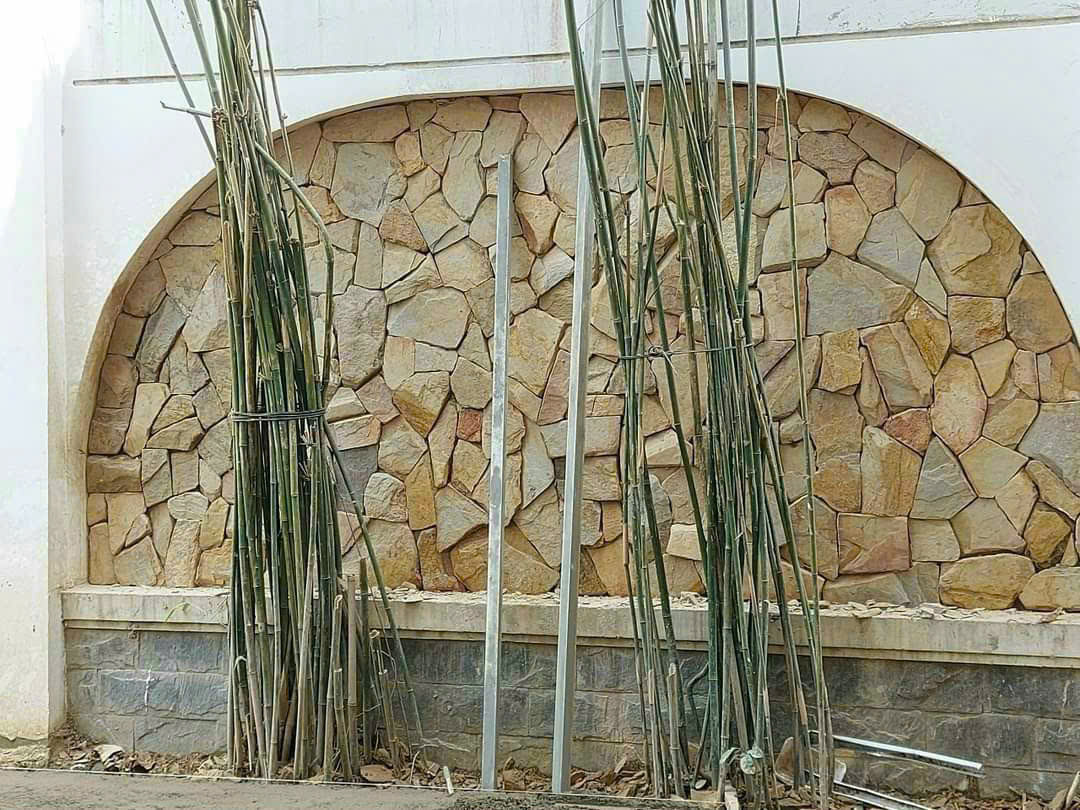 Da-Roi-Vang-Anh-Kim_đá rối vàng ánh kim.jpg