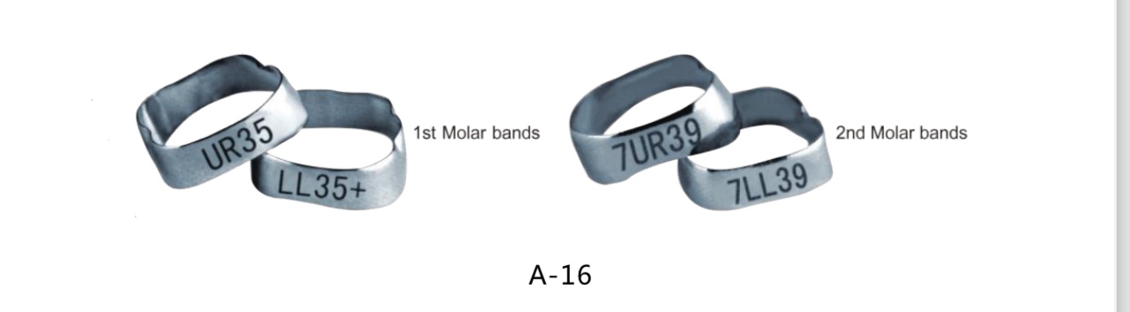 Plain Bands 2nd Molar dentrunhk