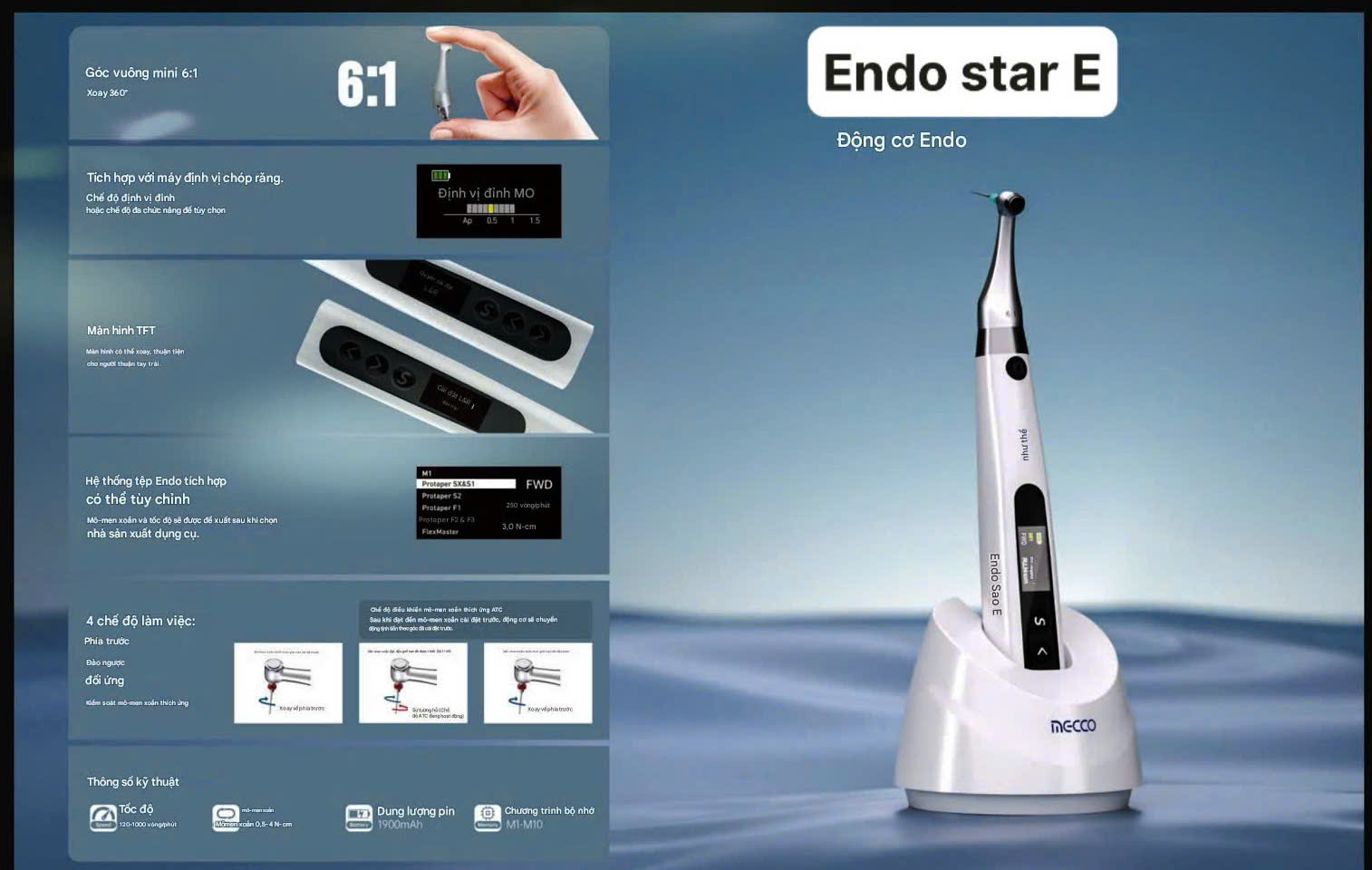 endo star E.jpg