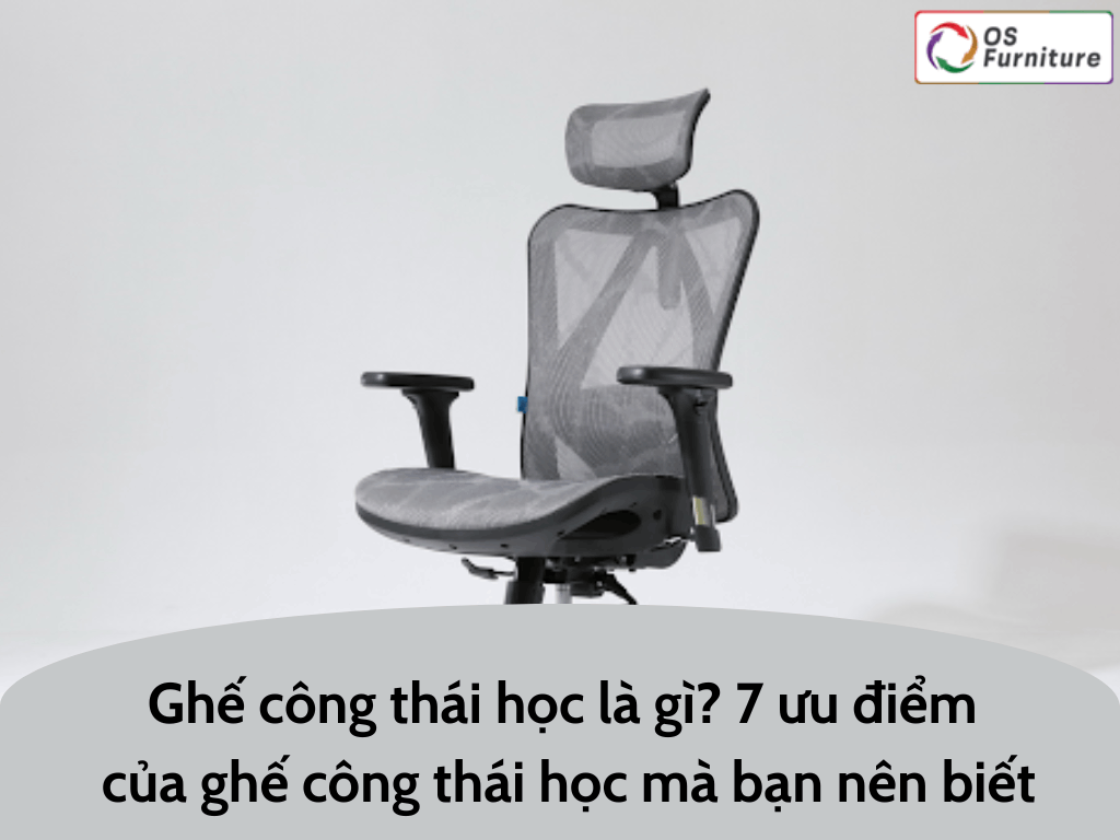 Ghế công thái học là gì? 7 ưu điểm của ghế công thái học mà bạn nên biết