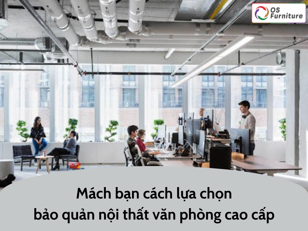 Mách bạn cách lựa chọn, bảo quản nội thất văn phòng cao cấp