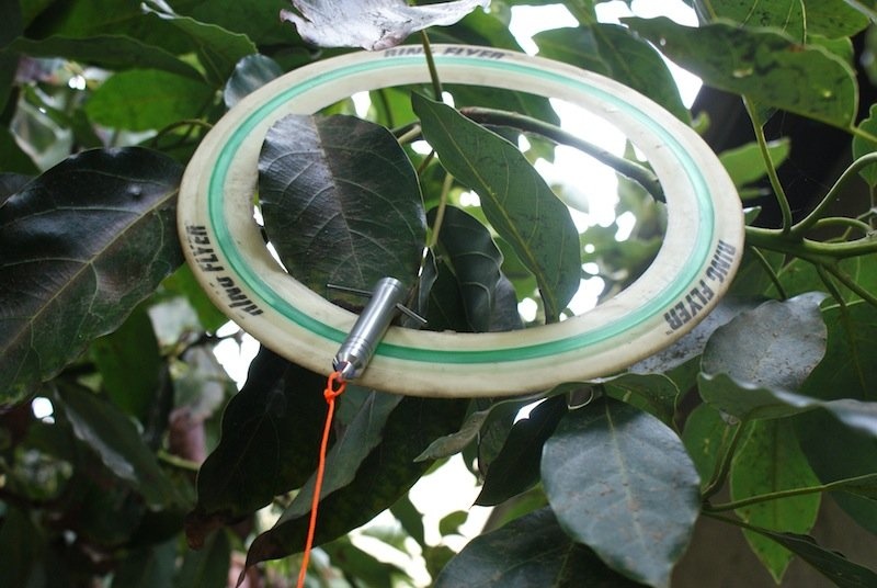TEC - Móc sinh tồn Compact Retieval