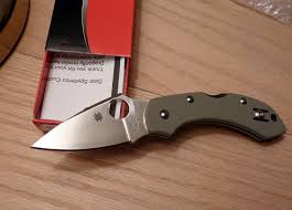 Spyderco Dragonfly Folding Plain G10 Knife C28GPFG