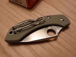 Spyderco Dragonfly Folding Plain G10 Knife C28GPFG