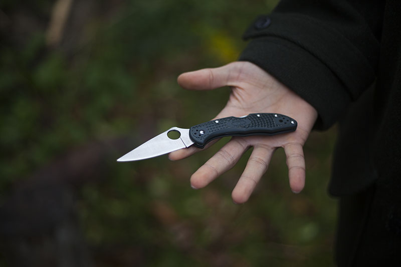 Spyderco Delica 4 black