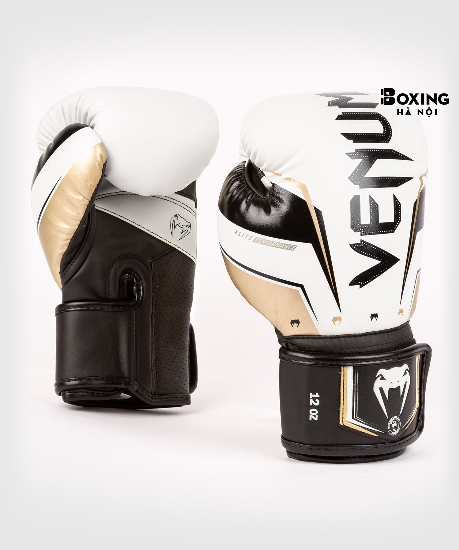 GĂNG TAY BOXING VENUM ELITE EVO - TRẮNG / VÀNG