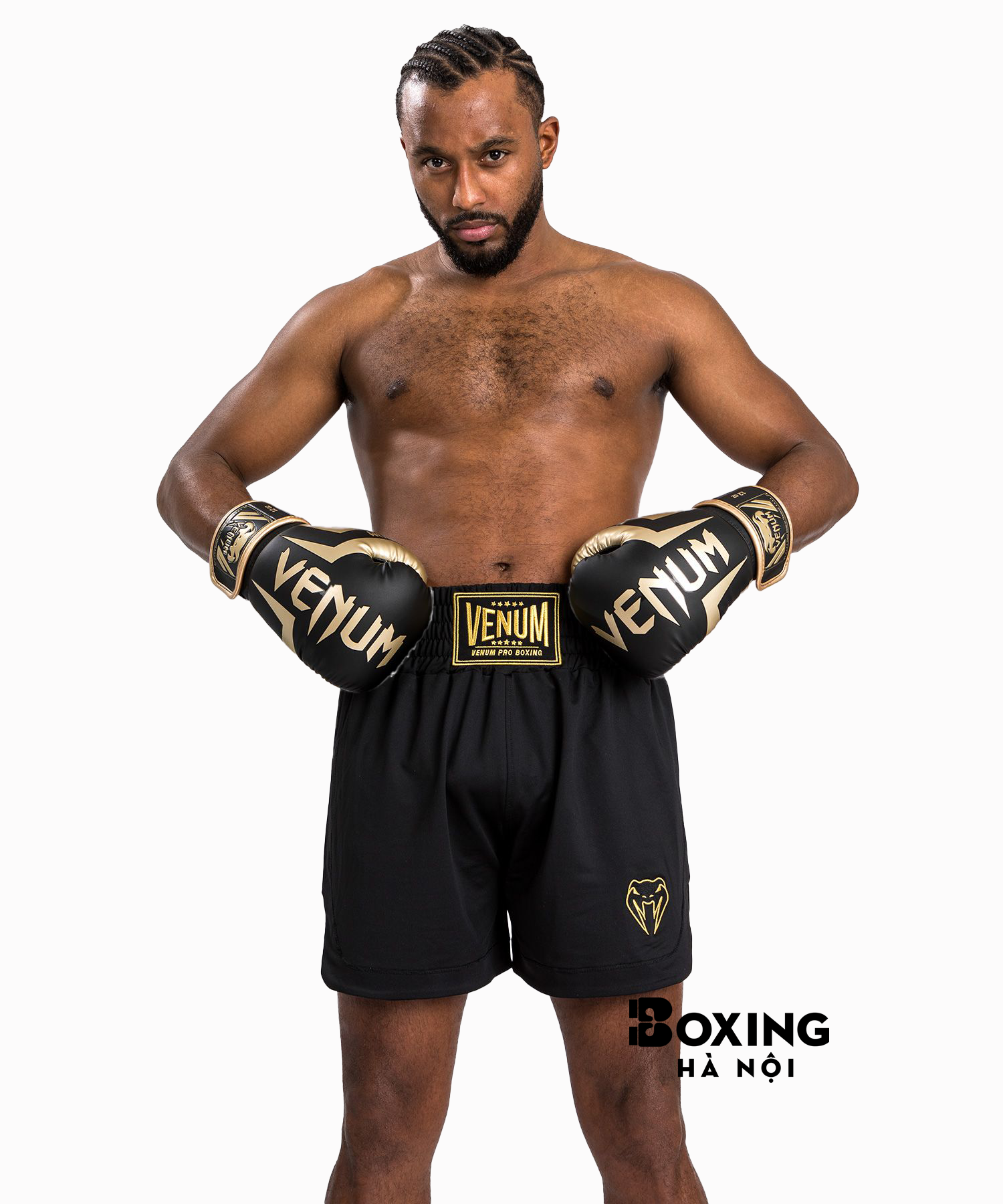 QUẦN BOXING VENUM CLASSIC SHORTS - BLACK/GOLD