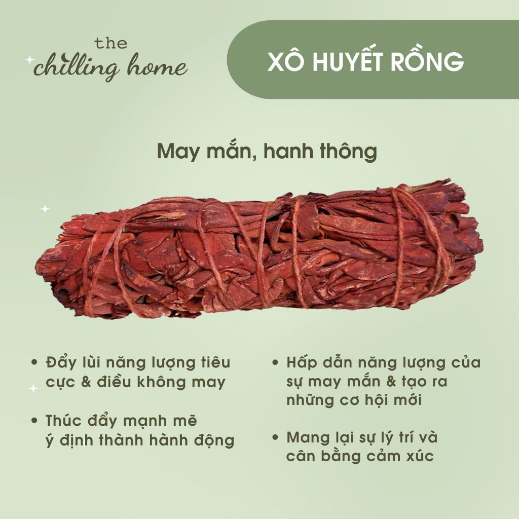 Xô Thơm Huyết Rồng (Dragon’s Blood Sage)