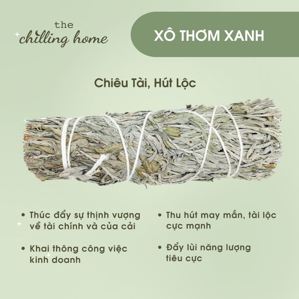Xô Thơm Xanh (Blue Sage)