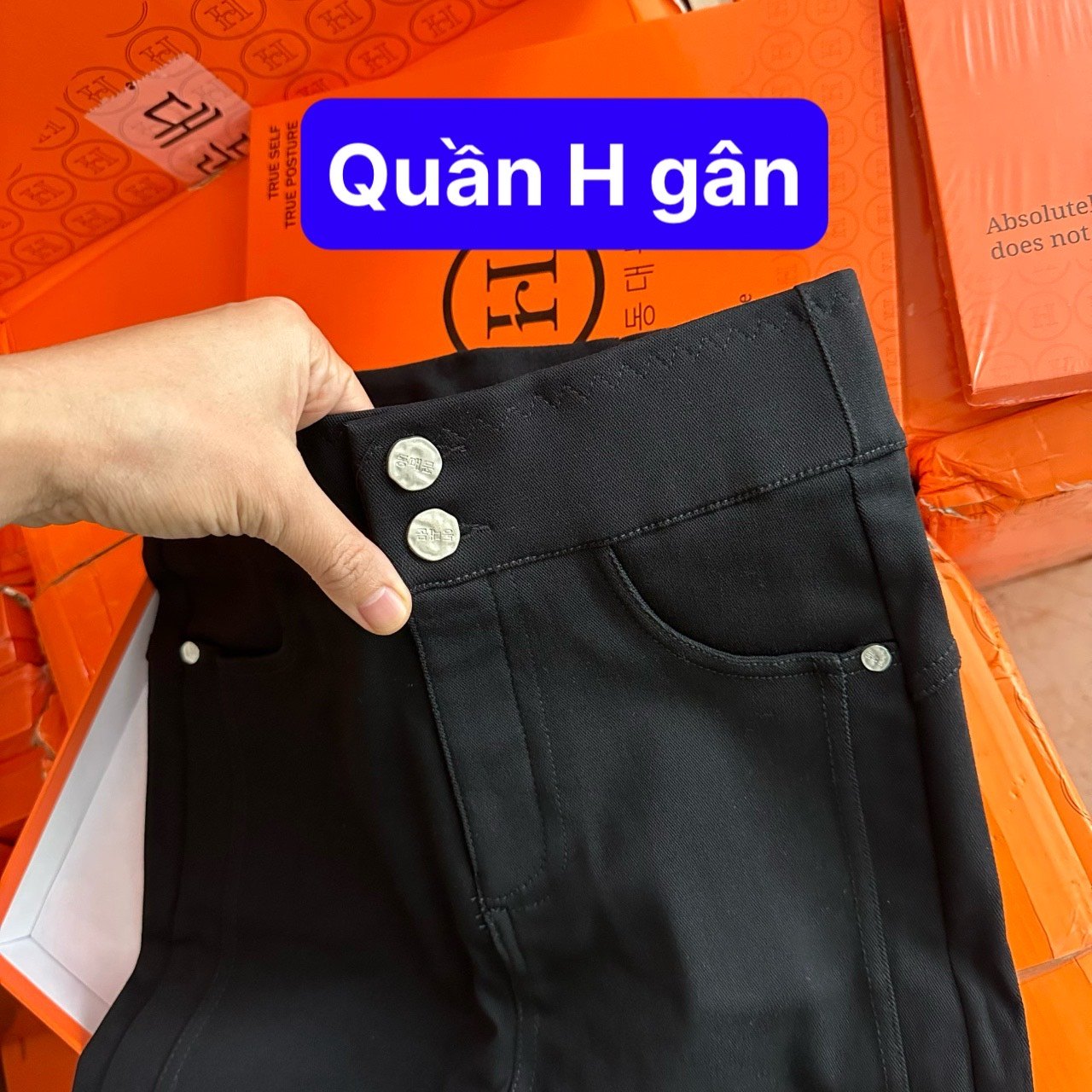 QUẦN TREGGING CHỮ H SIÊU HOT