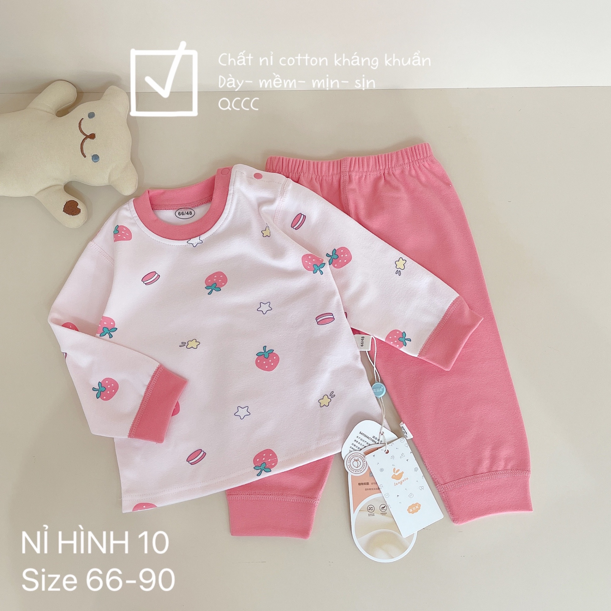 BÔ NỈ HÌNH COTTON KHÁNG KHUẨN QCCC BÉ GÁI