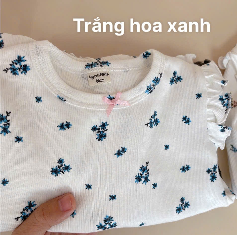 BỘ DÀI TAY CÁNH TIÊN B18