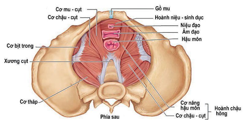 Những điểm nhạy cảm của nam giới phái đẹp “cứ đụng” là lên