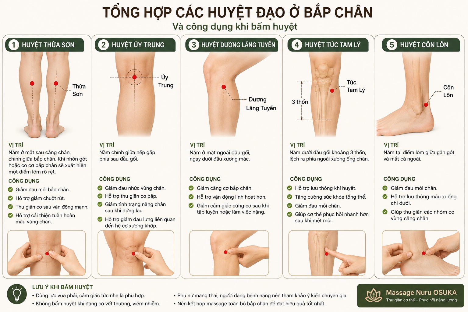 Tổng hợp các huyệt đạo ở bắp chân và công dụng khi bấm huyệt
