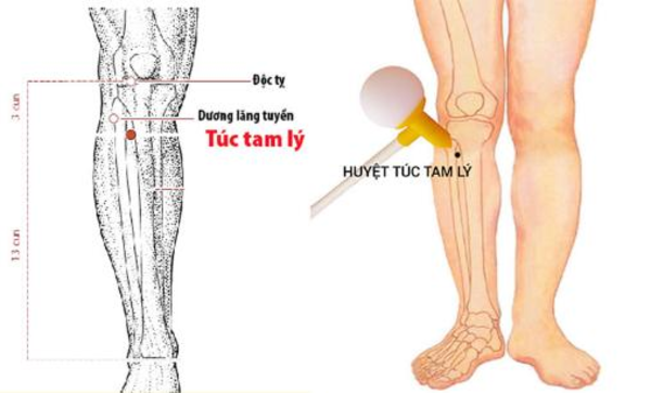 Huyệt Túc Tam Lý