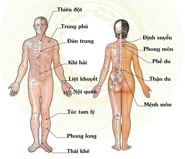 da-thong-kinh-lac-2.png