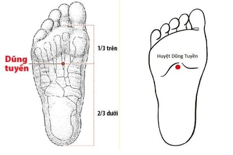 Vùng lòng bàn chân và cạnh bàn chân (Huyệt Dũng Tuyền - KI1 và Công Tôn - SP4)