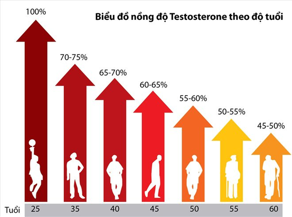 Sự suy giảm hormone testosterone ở nam giới theo thời gian