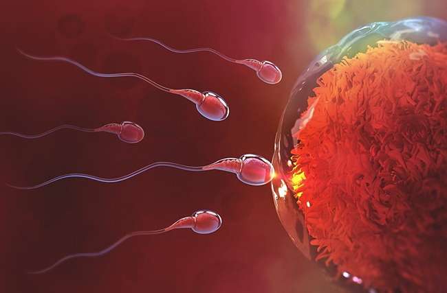 Sau khi quan hệ ra nhiều nước có thai không?