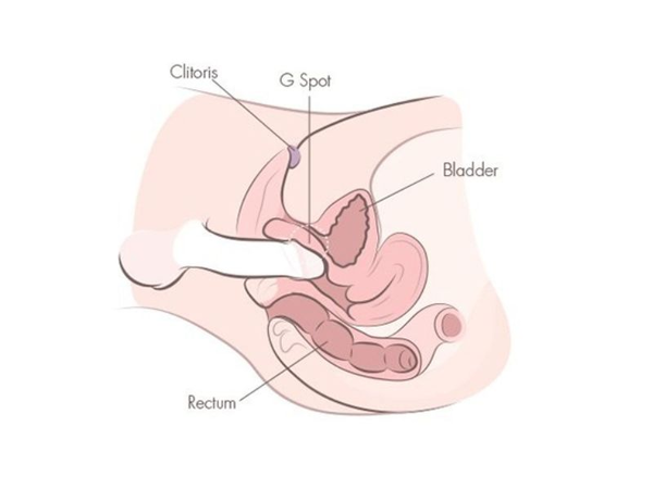 cau-be-co-the-vao-sau-bao-nhieu-1.png