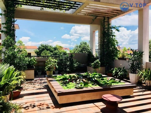Sân thượng xanh mát, thư giãn với tiểu cảnh