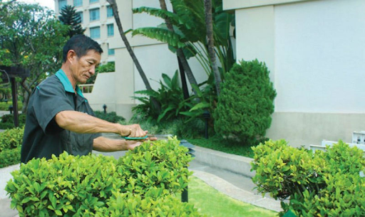 Giữ không gian luôn xanh tươi và thư giãn