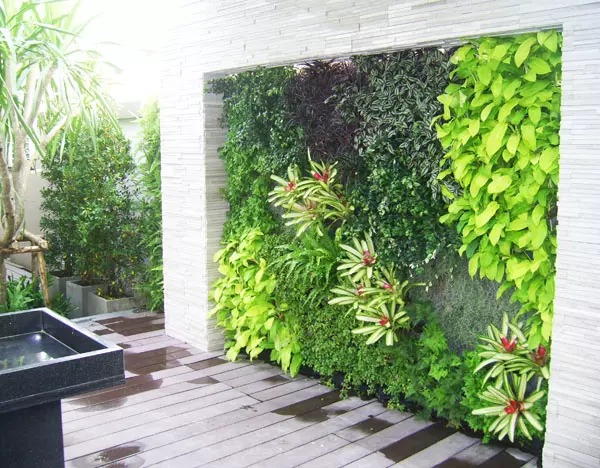 Vườn tường đứng tạo không gian thư giãn cho biệt thự