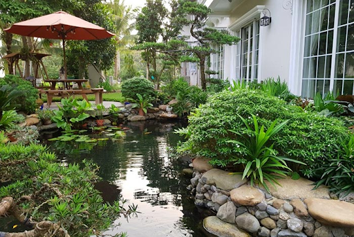 Hồ cá Koi kết hợp với cây bonsai tạo vẻ đẹp hoàn hảo