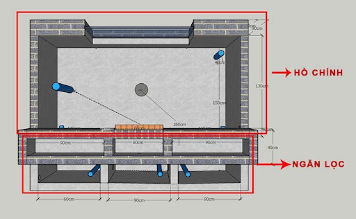 Mực nước và hệ thống lọc nước cho cá koi