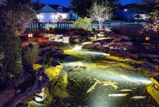 Hồ cá Koi tinh tế với ánh sáng LED lung linh ban đêm
