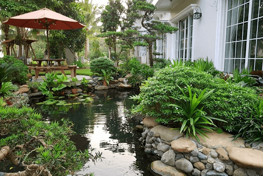 Hồ cá Koi với tiểu cảnh tạo không gian thư giãn
