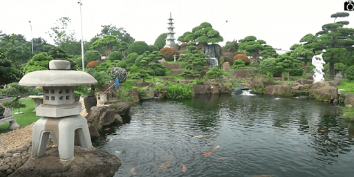 Lợi ích khi lựa chọn dịch vụ thi công hồ cá Koi Hà Nam tại Jingarden