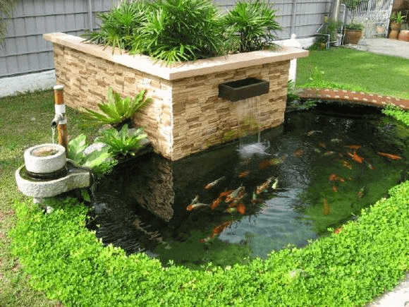 Hồ cá Koi với hệ thống lọc tự động tiên tiến