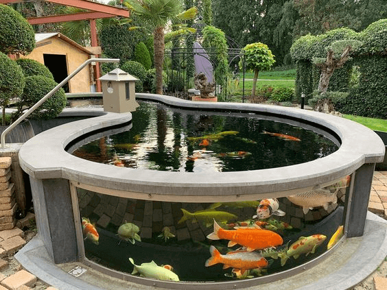 Những điều cần nhớ khi gia chủ chọn thi công hồ cá Koi