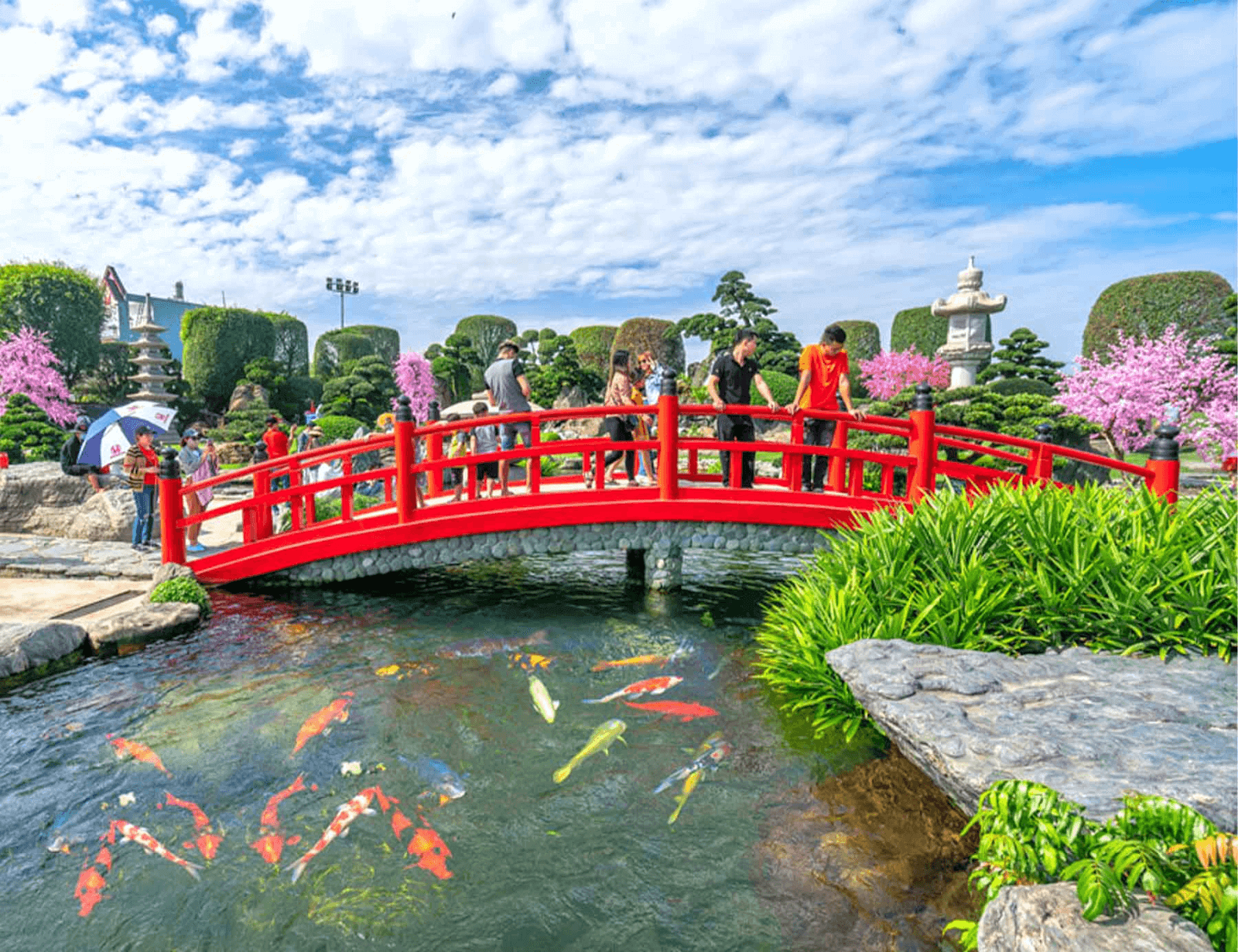 Hồ cá Koi có cầu, tạo điểm nhấn độc đáo