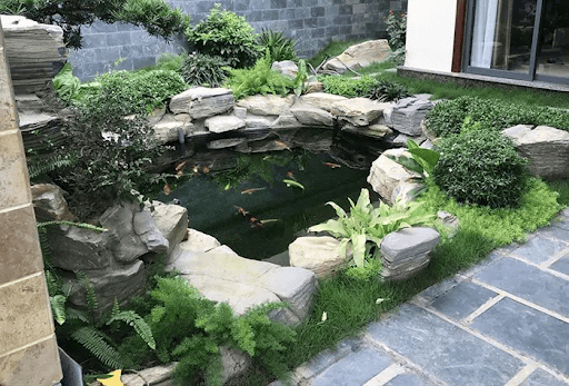 Hồ cá Koi mini với hệ thống lọc nước hiện đại và hiệu quả