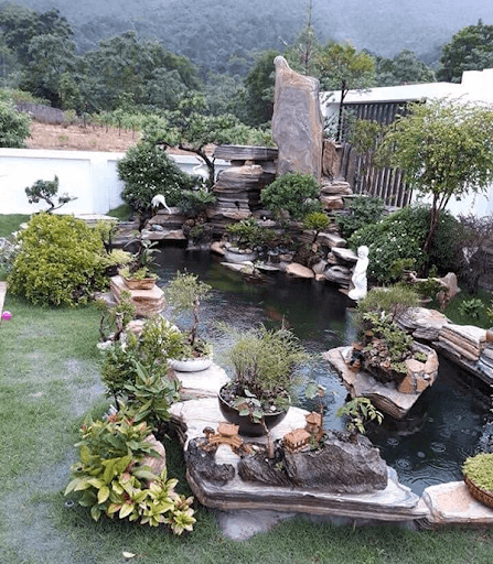 Hồ cá Koi truyền thống tạo không gian thư giãn yên bình